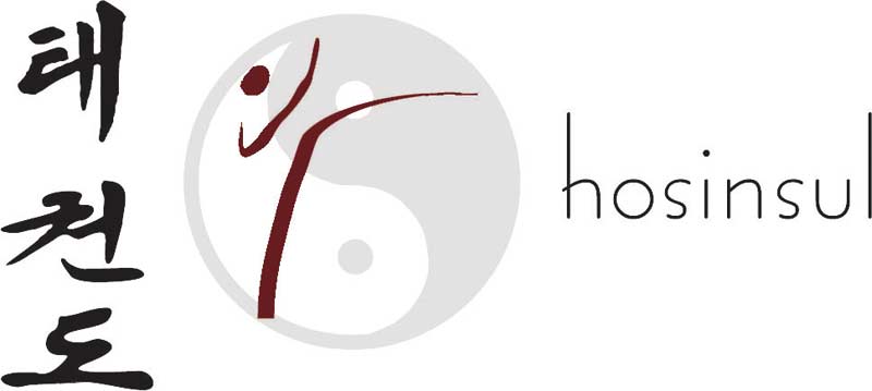 Logo-Hosinsul